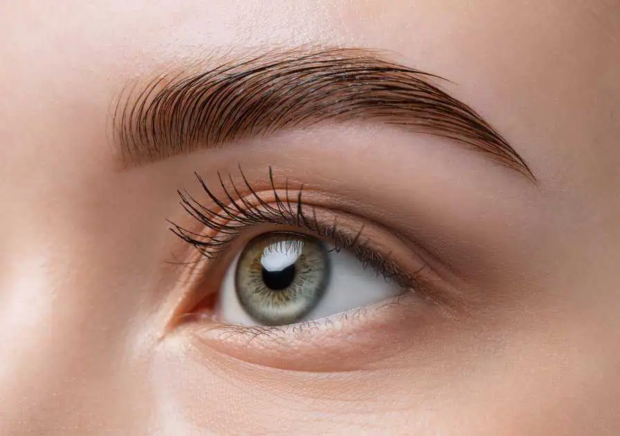 Brow Extensions in Southaven, MS by Delta Phoenix Aesthetic Medicine